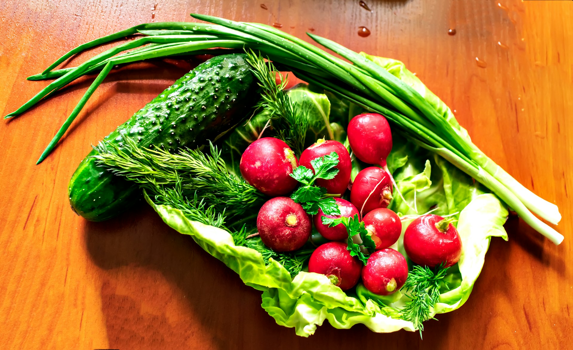 Zanforlexia háttér